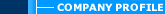 -- Company Profile --